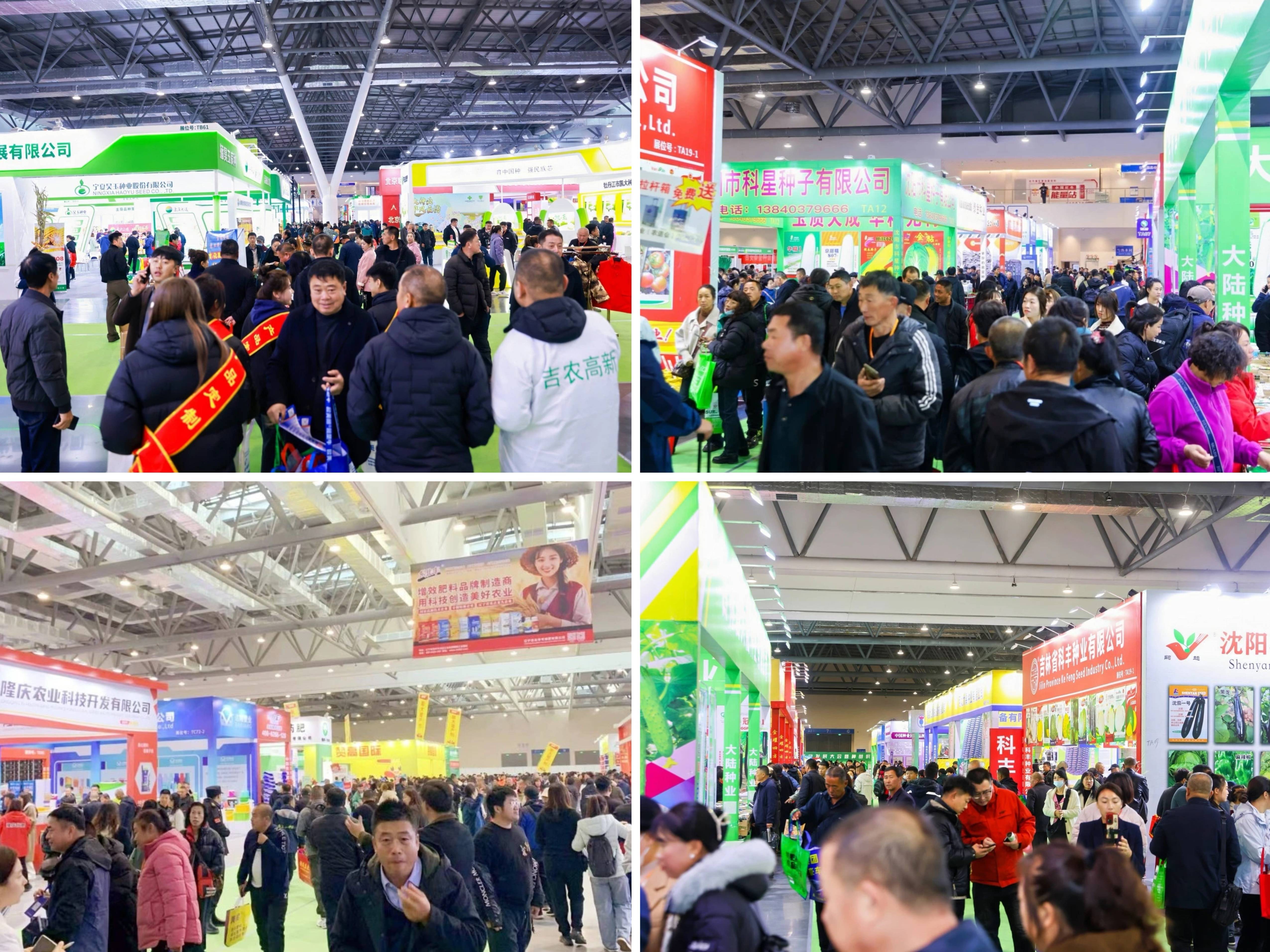 精彩回顾| 第31届哈尔滨种业博览会圆满收官